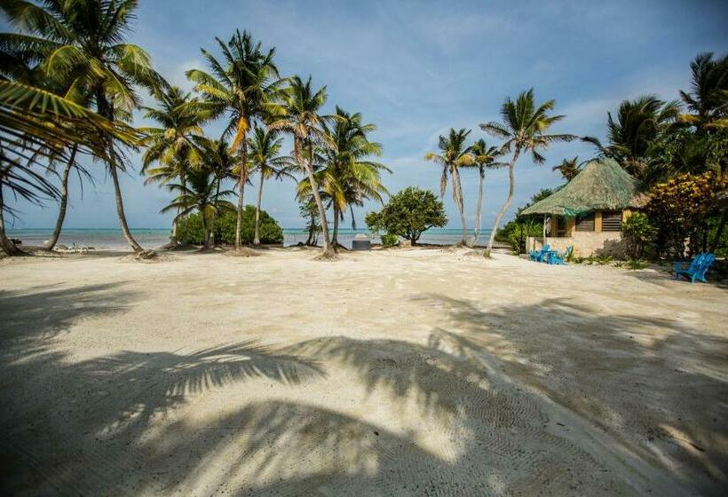 Bangalô Standard, Costa De Cocos