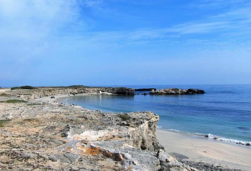 Номер Стандарт Вид на Море с Террасой, B&b Neptunia Fronte Mare