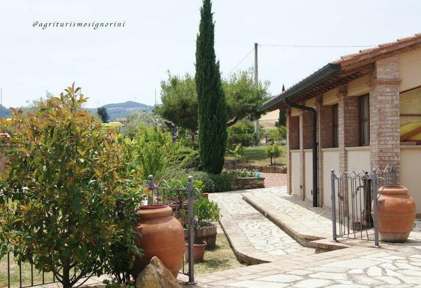 Семейное Студио, Agriturismo Signorini