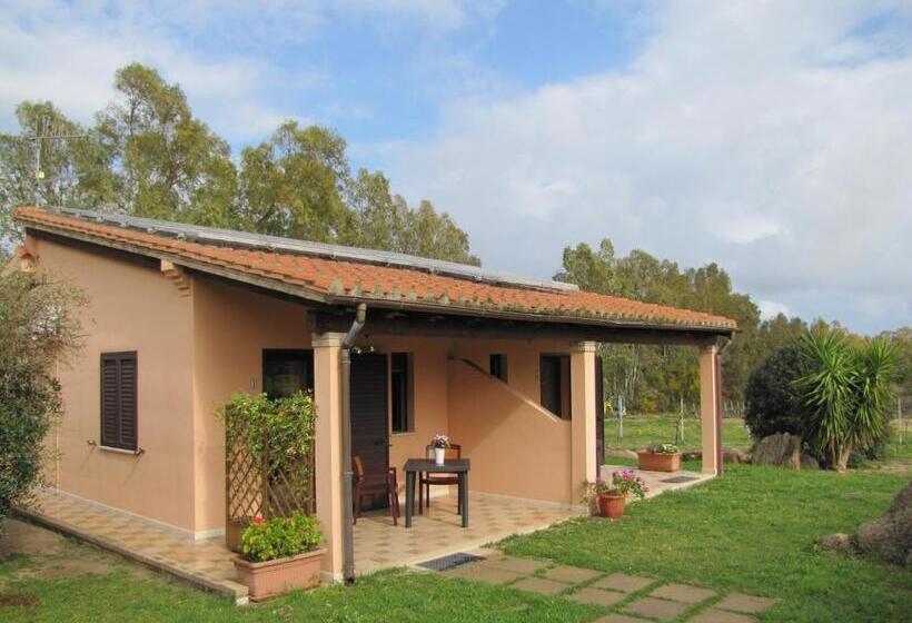 Номер Стандарт, B&b Monte Gruttas