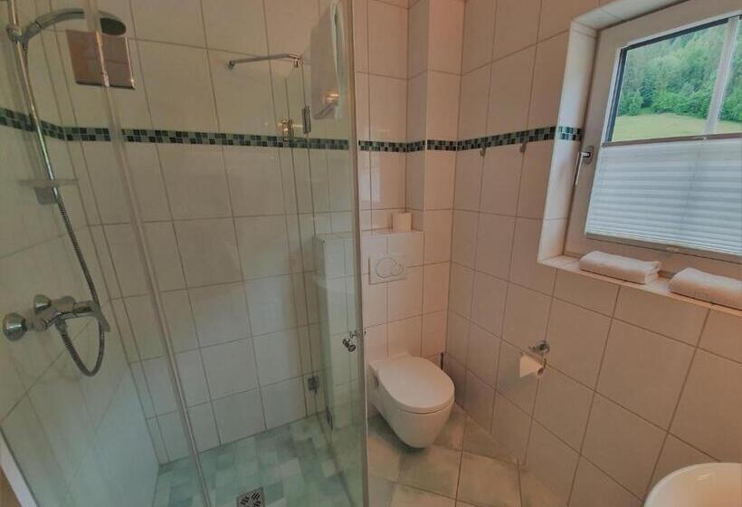آپارتمان 1 خوابه با تراس, Romantik Pension Lehrberg
