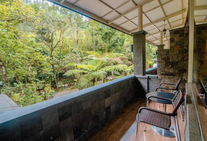 Номер Deluxe, Taman Simalem Resort