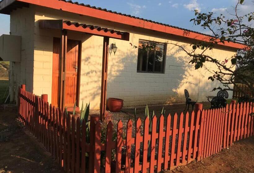 Семейный Номер, Cheetah Lodge Guest House