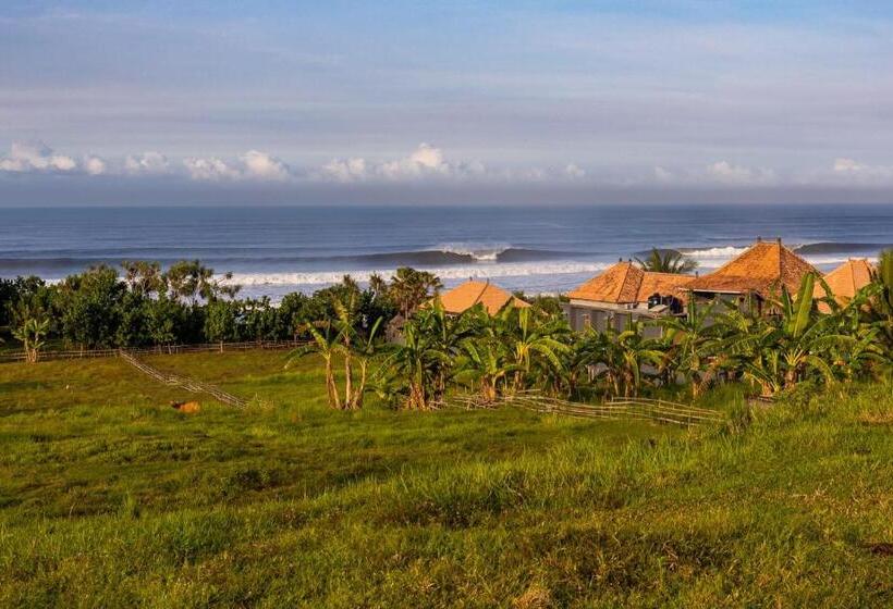 Номер Стандарт, Medewi Secret Surfcamp