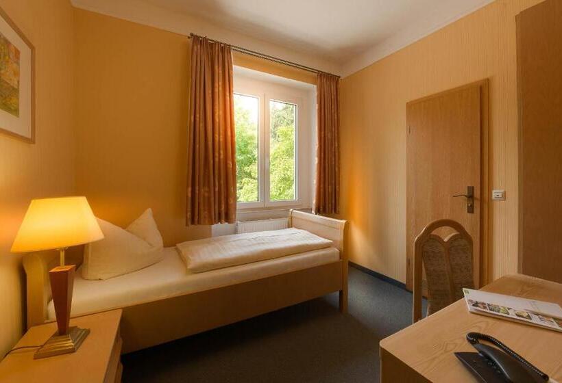 Номер Стандарт Индивидуальный, Flair Hotel Villa Ilske