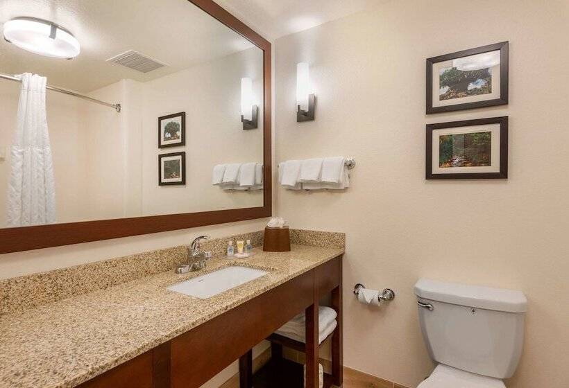 스위트, Comfort Suites Downtown
