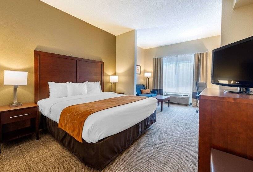 Suíte, Comfort Suites Downtown
