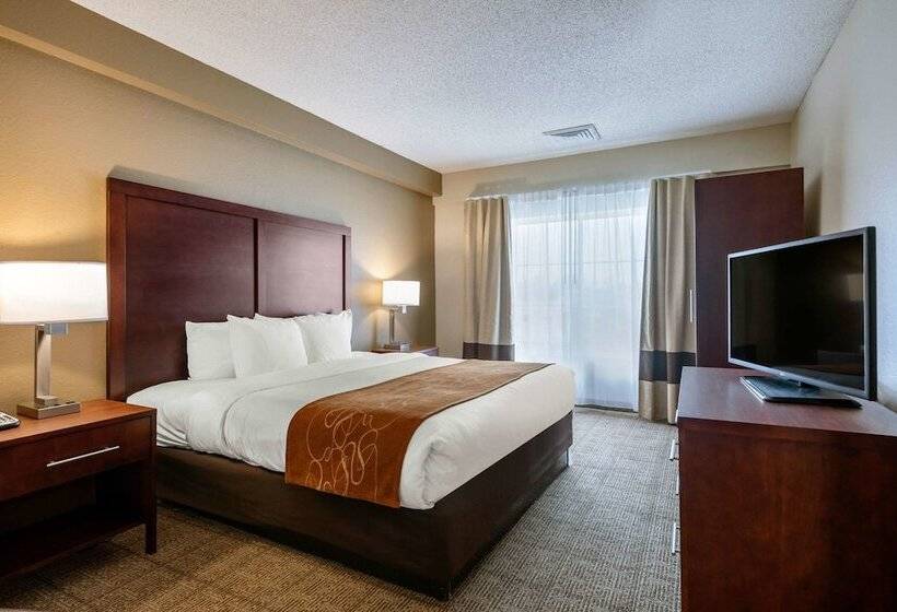 Suíte, Comfort Suites Downtown