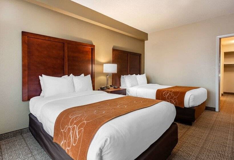 스위트, Comfort Suites Downtown
