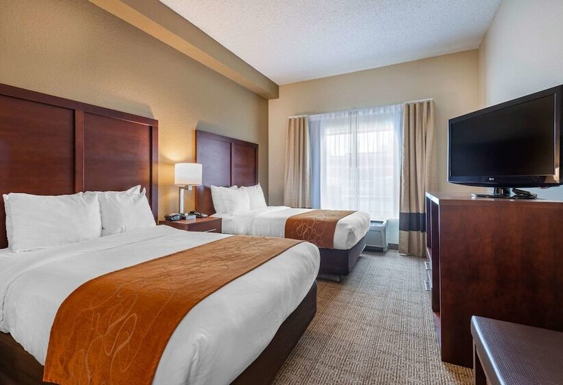 Suíte, Comfort Suites Downtown
