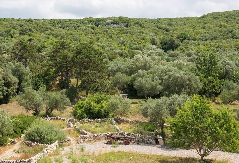آپارتمان 1 خوابه, Kanajt