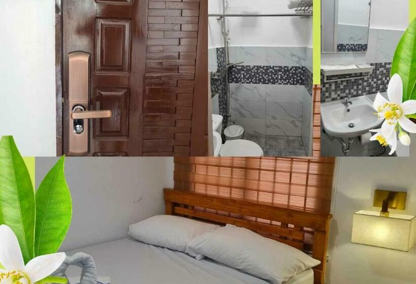 豪华单人间, Bth Traveller S Home