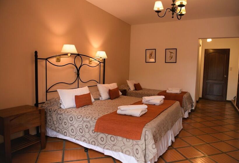 اتاق سوپریور سه تخته, Selva Montana