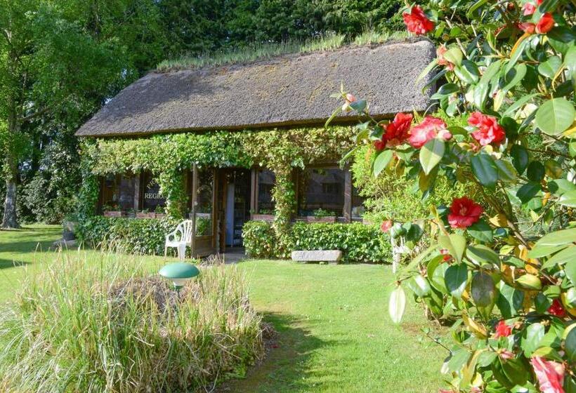 Номер Стандарт, Manoir De L Acherie