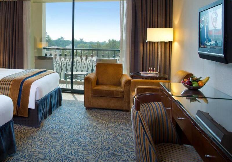 Номер Премиум, Al Ain Rotana
