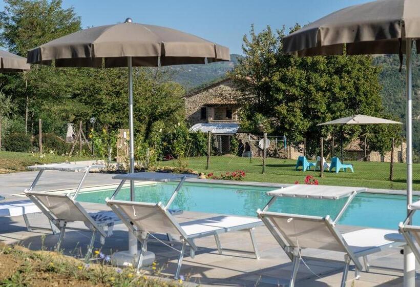 Апартаменты 1 Спальня Нижний Этаж, Agriturismo Montelovesco