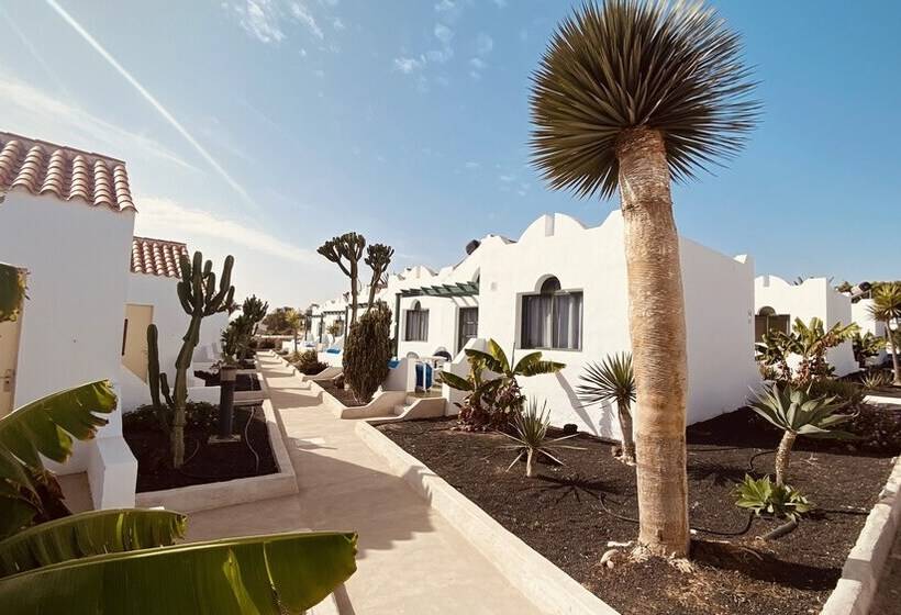 דירת חדר, Casthotels Fuertesol Bungalows