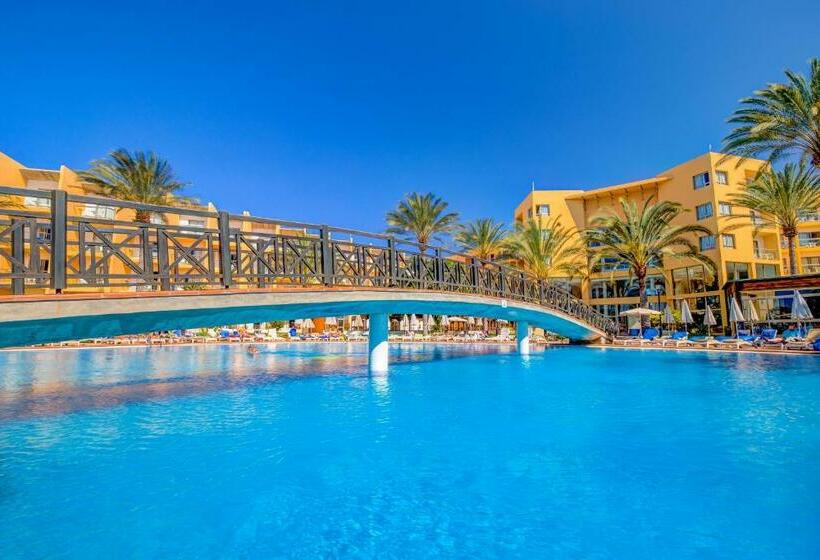 标准单人间, Sbh Costa Calma Beach Resort