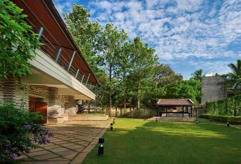 行政房间, Angsana Oasis Spa & Resort