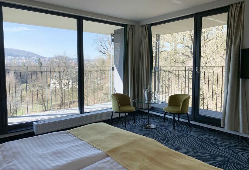 带1个卧室的豪华公寓, Parkhotel Carlsbad Inn