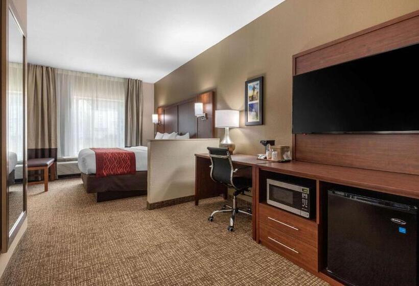 스위트 킹사이즈 침대, Comfort Inn & Suites Montgomery East Carmichael Rd