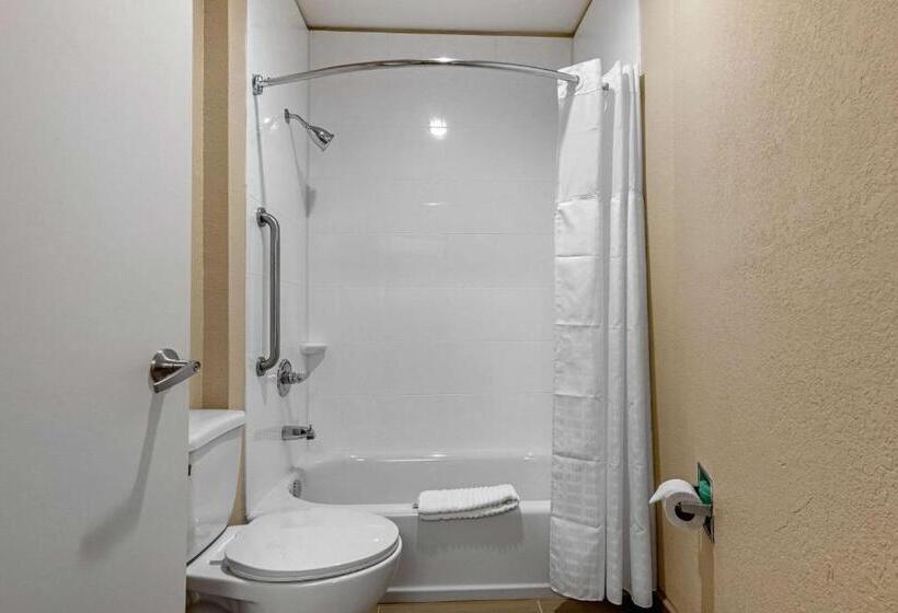 스위트 킹사이즈 침대, Comfort Inn & Suites Montgomery East Carmichael Rd