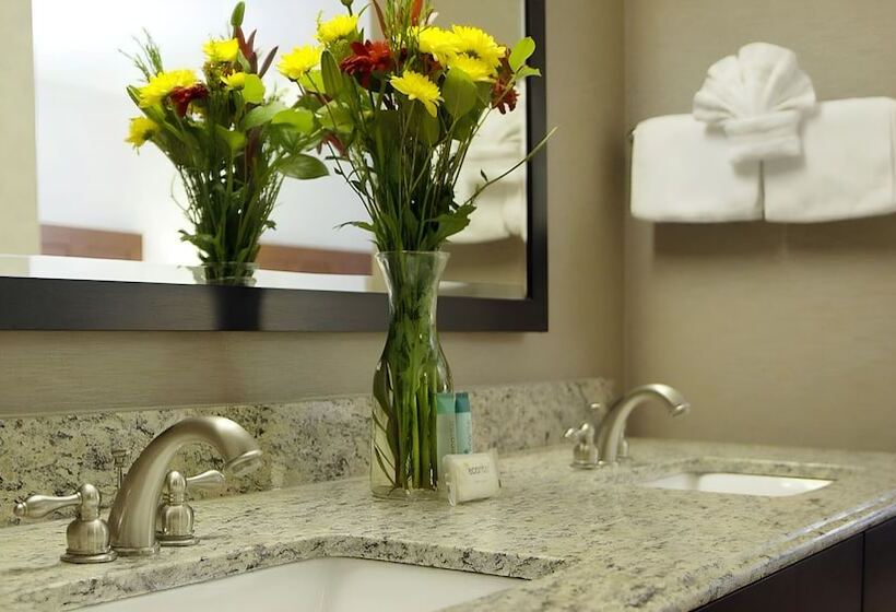 Люкс Повышенной Комфортности, Moab Valley Inn