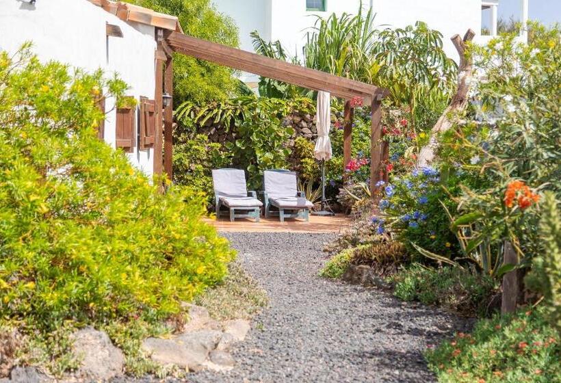 Студио Стандарт с Террасой, Surfescape Fuerteventura