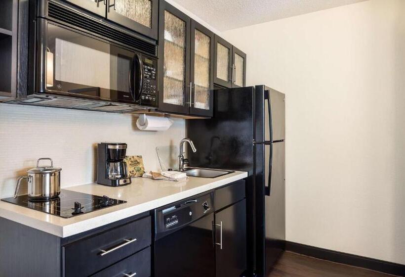 Standard Studio Queen Size Seng, Sonesta Simply Suites Parsippany Morris Plains
