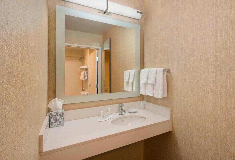 Люкс, Springhill Suites Mishawaka University Area