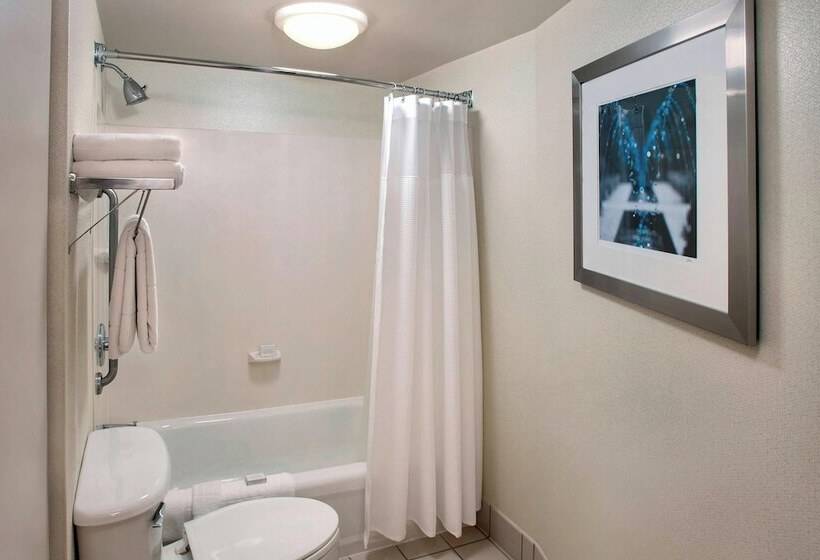 Люкс, Springhill Suites By Marriott Philadelphia Willow Grove