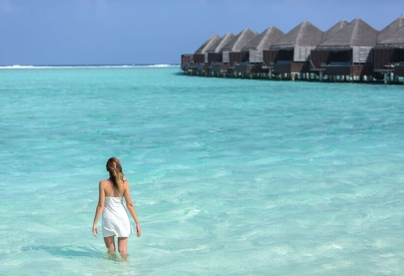 Villa Deluxe 1 Dormitório, Taj Exotica Resort & Spa, Maldives