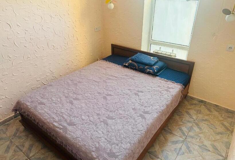 اتاق اکونومی یک تخته, Sweet Home Hostel