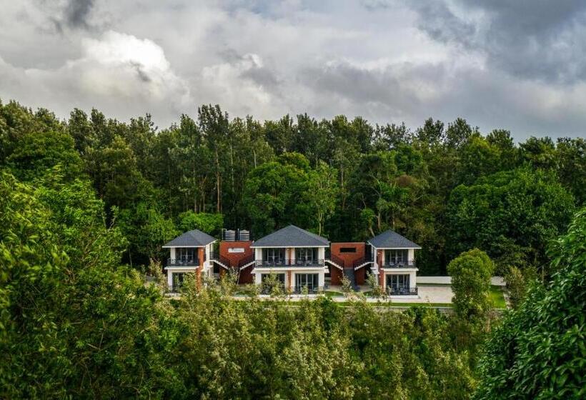 Номер Стандарт с Балконом, Vismita County