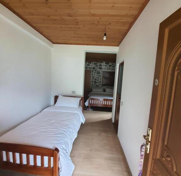 Pokój Basic Trzyosobowy, Guest House Flodisa