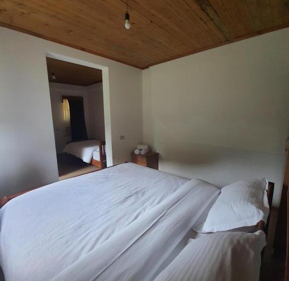 Трехместный Номер Базовый, Guest House Flodisa