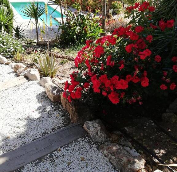 Номер Стандарт, Olive Branch El Chorro