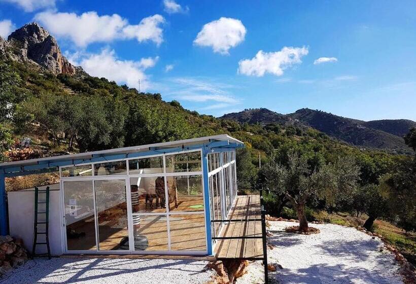 Номер Стандарт, Olive Branch El Chorro