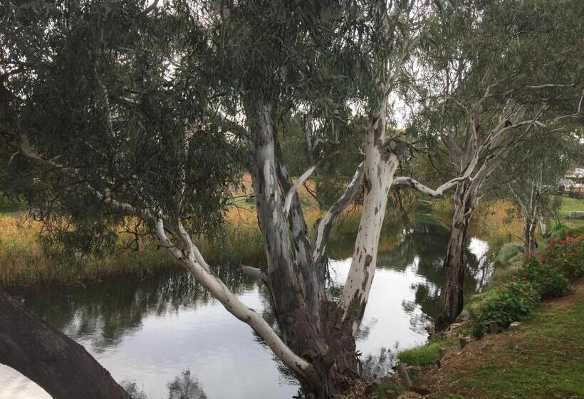 חדר סטנדרט עם טרסה, Donald Riverside Motel