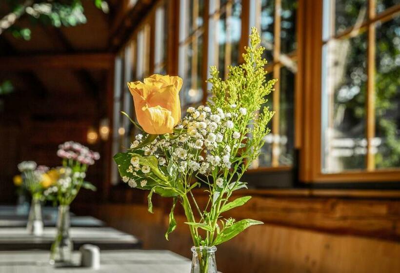 Номер Стандарт, Voralpenhotel Schmoller