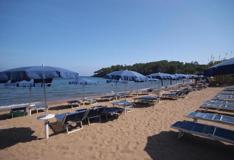 Студия Стандарт, Voce Del Mare
