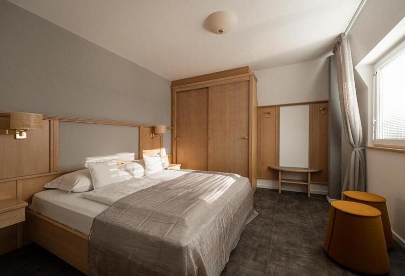 Апартаменты 1 Спальня с Видом, Apartmenthotel Ritterhof Suites & Breakfast