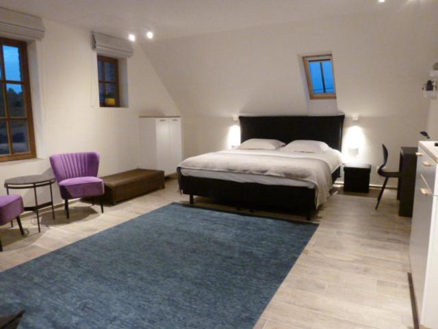 Студио Стандарт Кровать Кинг, B&b 't Hof Van Spiere