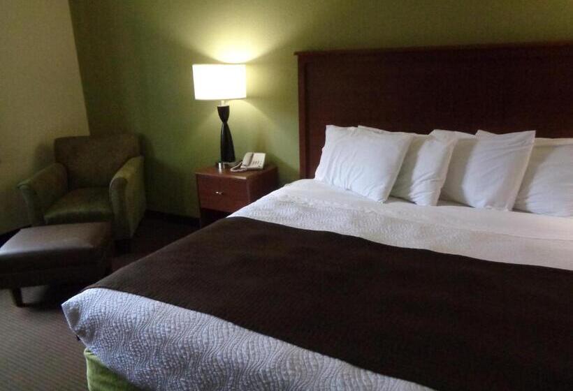 스탠다드 룸 킹사이즈 침대, Americinn By Wyndham Grand Rapids