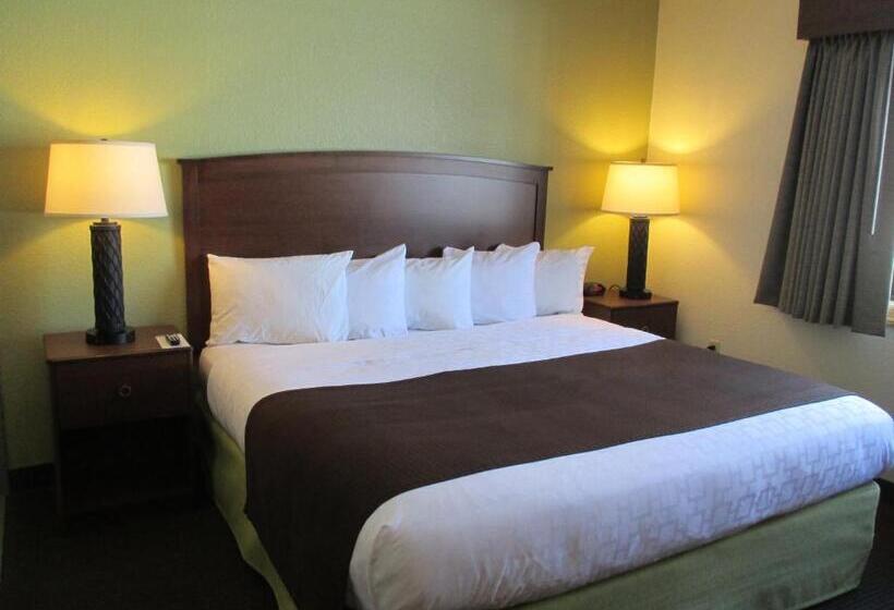 스탠다드 룸 킹사이즈 침대, Cobblestone Hotel & Suites   Wisconsin Rapids