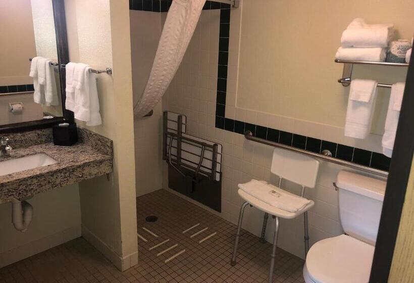 장애인을 위한 스탠다드 룸, Cobblestone Hotel & Suites   Wisconsin Rapids