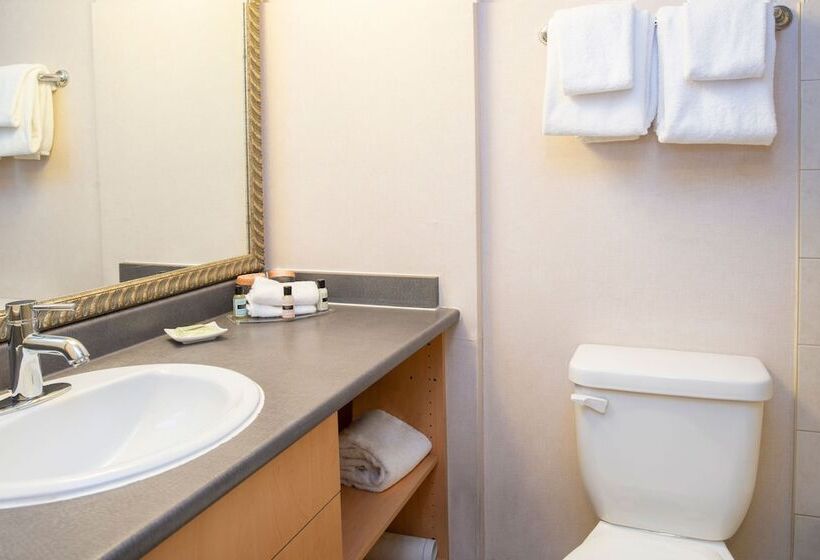 Люкс Вид на Море, Sandman Suites Vancouver On Davie