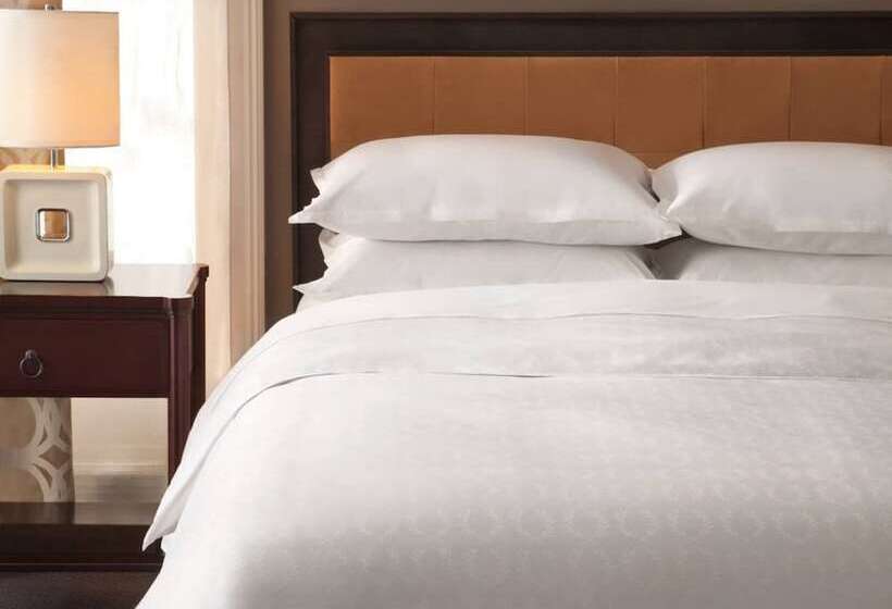 Номер Классический Вид на Город, Sheraton Asuncion