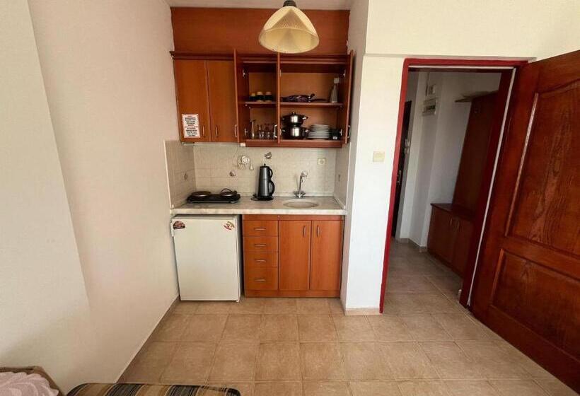 آپارتمان 1 خوابه با بالکن, Holiday Apart 50 Meters To Beach, Sea View Apartments