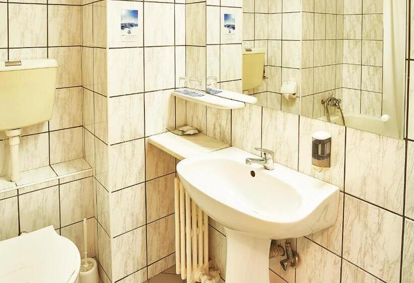 اتاق استاندارد با چشم‌انداز رودخانه, Continental Drobeta Turnu Severin